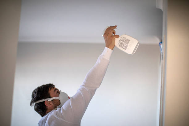 Best Black Mold Removal  in Sonterra, TX