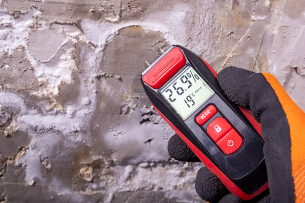 Best Mold Damage Repair  in Sonterra, TX