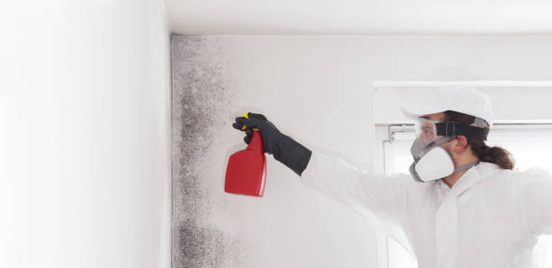 Best Residential Mold Removal  in Sonterra, TX